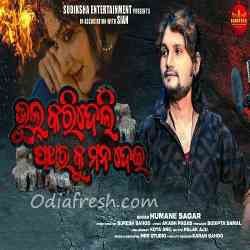 Bhul Karideli Patharaku Mana Dei